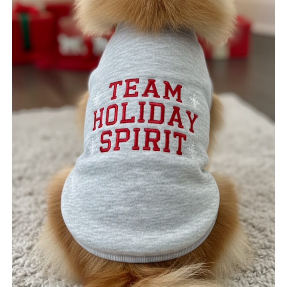 WONDERSHOP “Team Holiday Spirit” Grey Pet Sweatshirt, Size Small